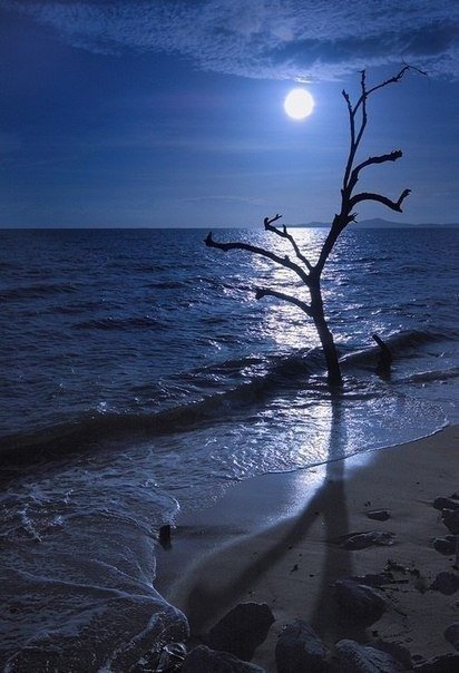 Полная луна - ночь, пейзаж, море, полнолуние, луна - оригинал