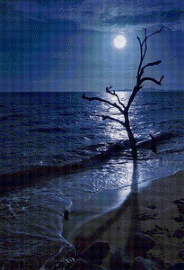 Полная луна - пейзаж, ночь, полнолуние, море, луна - предпросмотр