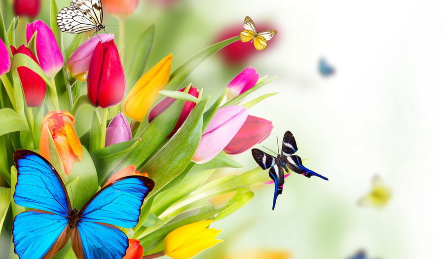 Бабочки - весна, бабочки - оригинал