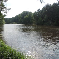 Лесное озеро