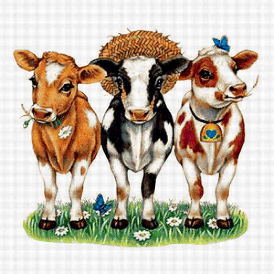 №1178927 - предпросмотр