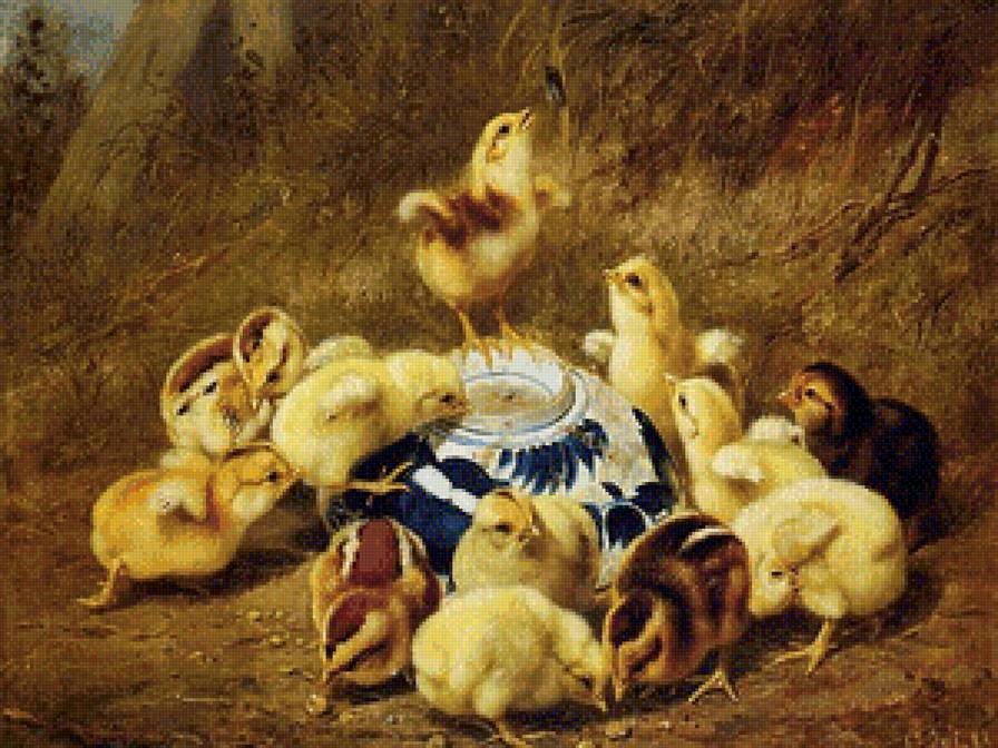 Цыплята - домашние животные, цыплята - предпросмотр