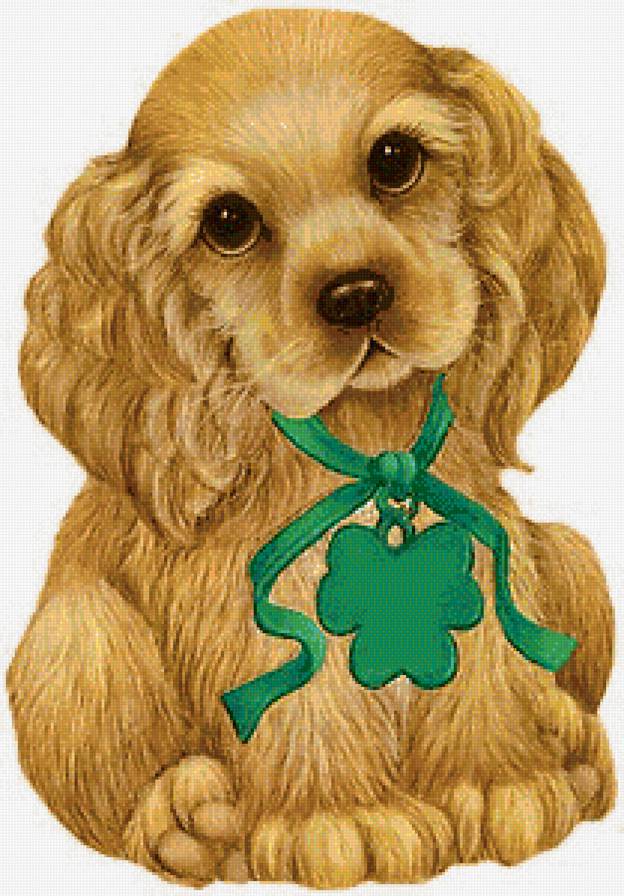 малыш - животные, собаки - предпросмотр