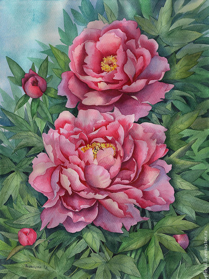 пионы - оригинал