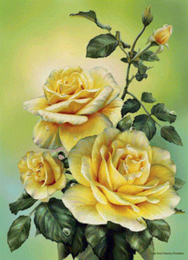 Розы желтые - вышивка крестом - предпросмотр