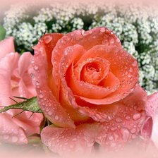 Схема вышивки «№1179945»