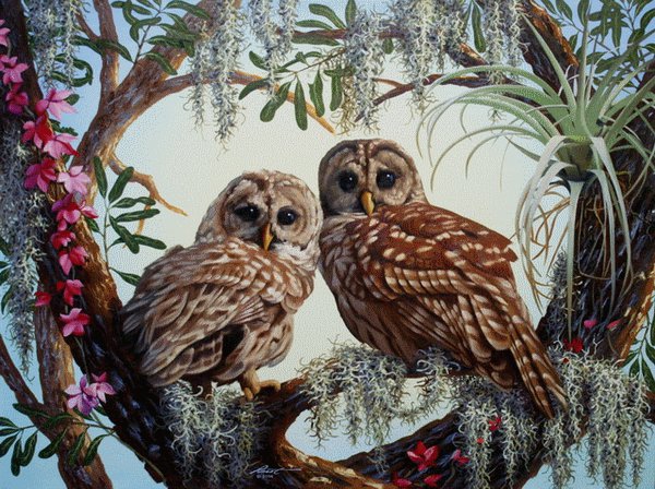 Совушки - птицы, живопись, совы, сладкая парочка, животные, пейзаж, лето, природа - оригинал