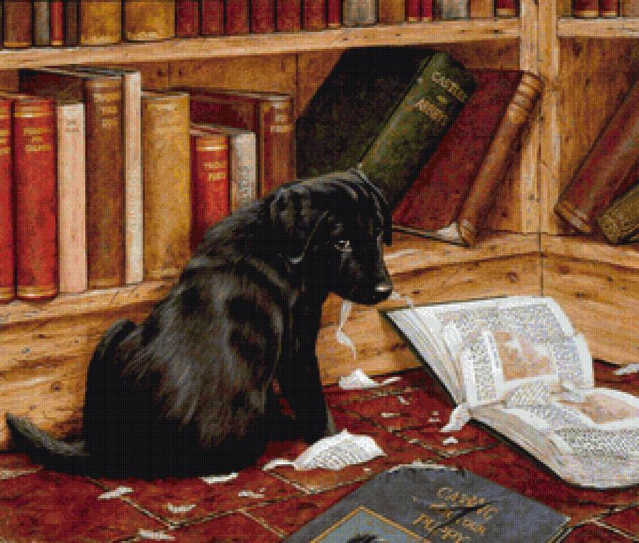 Зачитался - щенок, домашний питомец, домашний любимец, книги, животные, собаки - предпросмотр