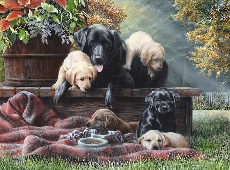 дружное семейство - собаки, картина - оригинал