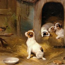 любопытное семейство