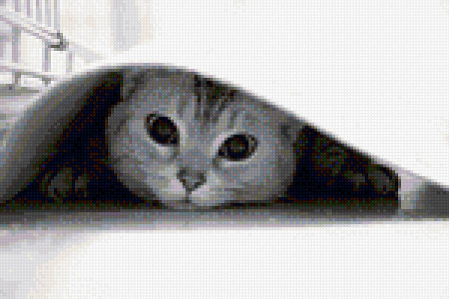 Кися - предпросмотр