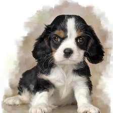 Схема вышивки «серьезный малыш»