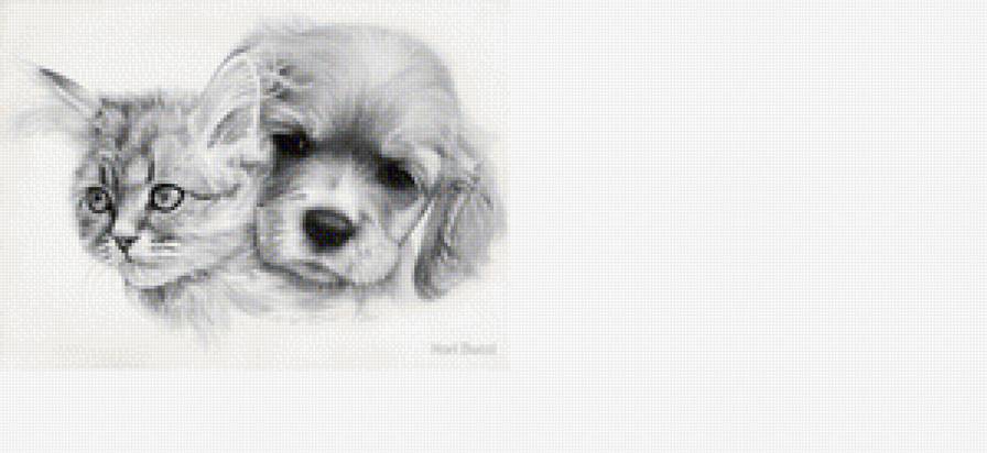 котенок и щенок - котенок, щенок, домашние животные, котенок и щенок - предпросмотр