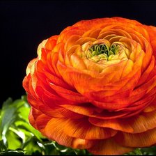 Оригинал схемы вышивки «№1181066»