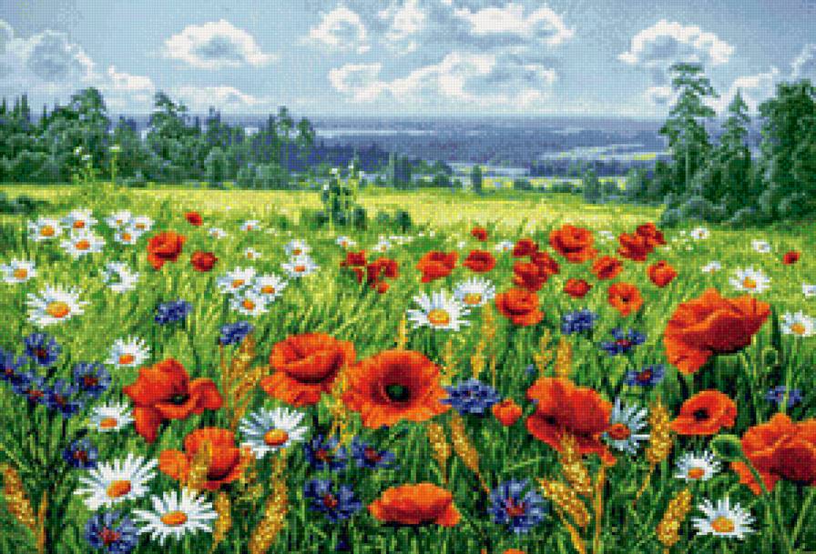 Цветочное поле - природа, цветы, лето - предпросмотр