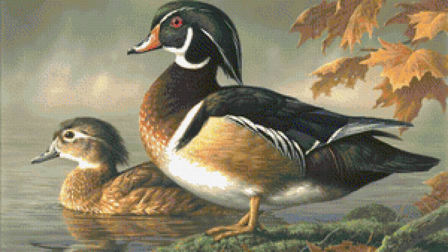 2 утки - предпросмотр