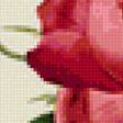 Предпросмотр схемы вышивки «Роза красная» (№1181620)