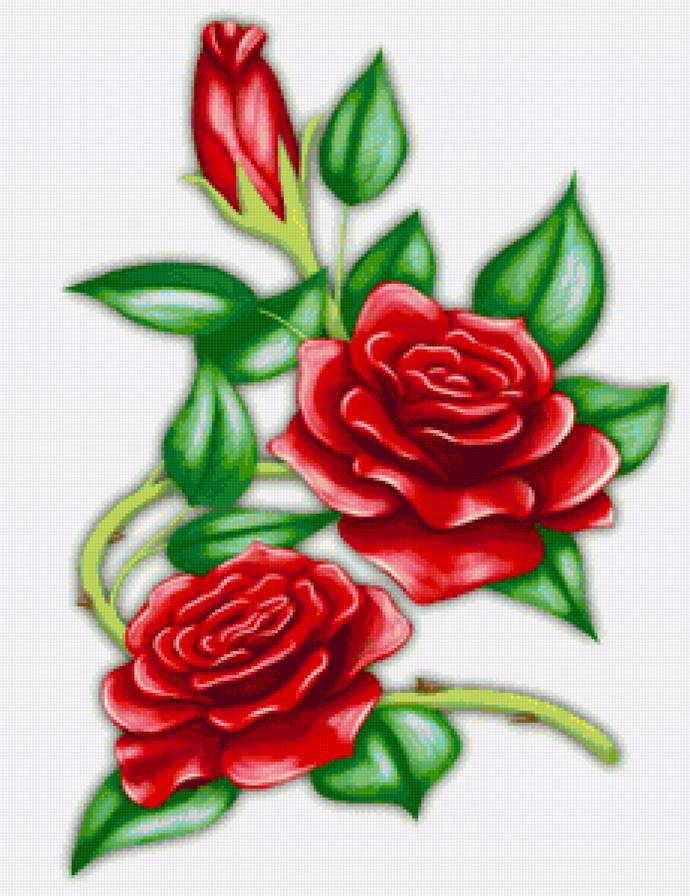 Розы - роза, розы, цветы - предпросмотр