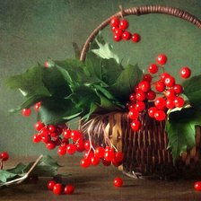 Схема вышивки «калина»