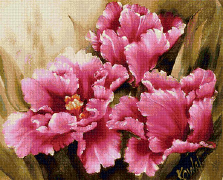 розовые тюльпаны - предпросмотр