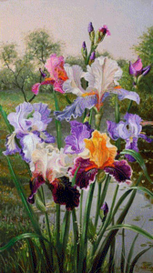 №1182323 - предпросмотр