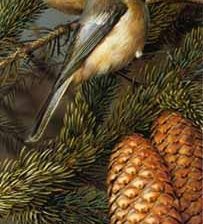 Схема вышивки «№1182338»