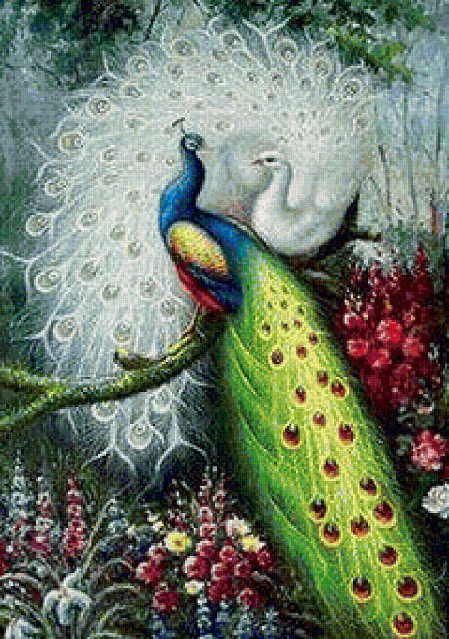 павлины - павлины, белый, зеленый - предпросмотр
