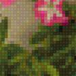 Предпросмотр схемы вышивки «цветы на балконе» (№1182720)