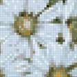 Предпросмотр схемы вышивки «ромашки» (№1182769)