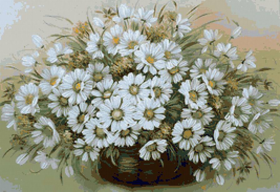 ромашки - цветы ромашки - предпросмотр