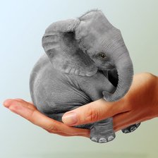 Схема вышивки «слон»