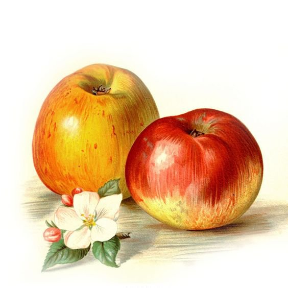 №1184642 - оригинал