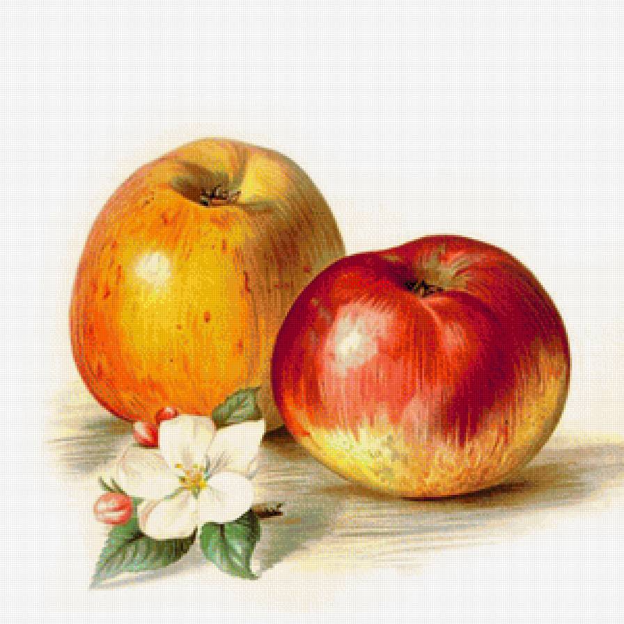 №1184642 - предпросмотр