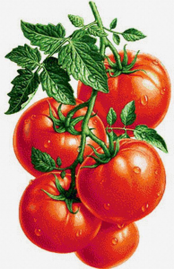 помидорки на кухню - овощи, на кухню - предпросмотр