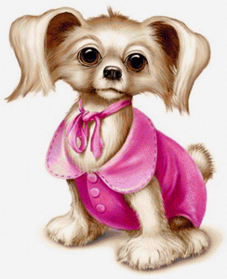 Модница - животные, собачка, собаки - предпросмотр