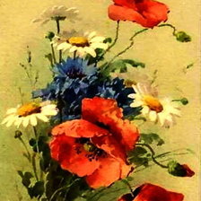 Схема вышивки «маки»