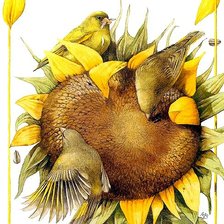 Схема вышивки «Серия птицы»