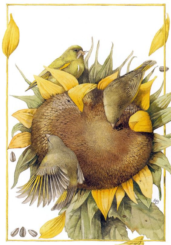 птицы и подсолнух - птицы, птица, подсолнух - оригинал