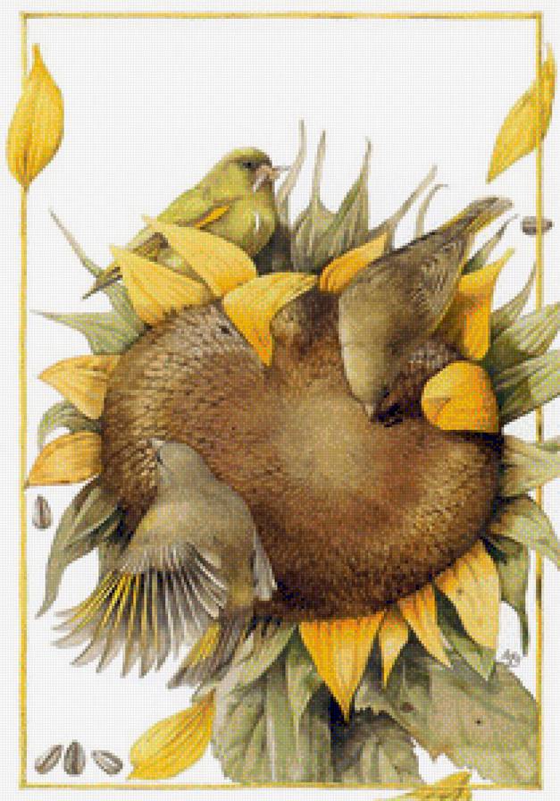 птицы и подсолнух - птицы, птица, подсолнух - предпросмотр