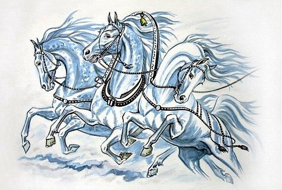 три белых коня - лошадь, тройка, конь, лошади, домашние животные, кони - оригинал
