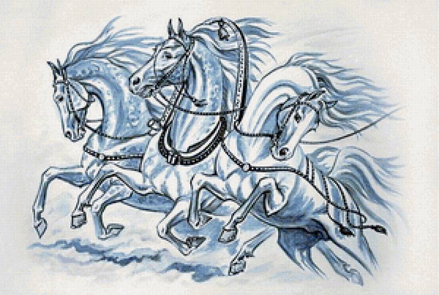 три белых коня - тройка, кони, лошади, лошадь, конь, домашние животные - предпросмотр
