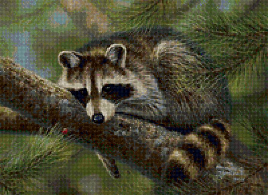 №1186888 - предпросмотр