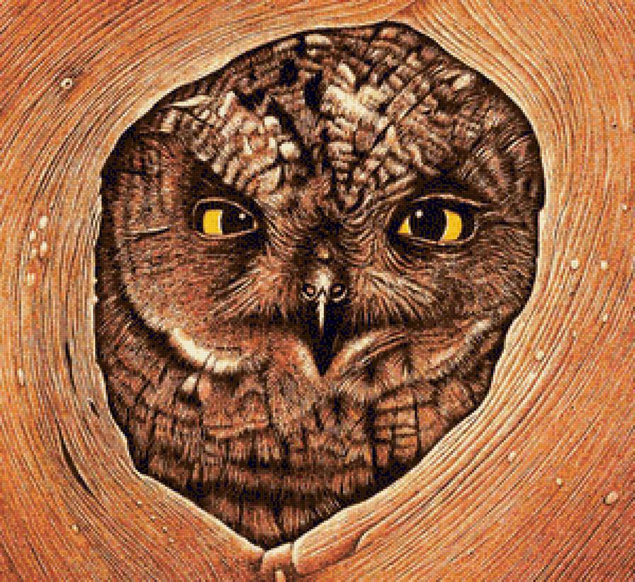 Совушка - птица, сова, птицы - предпросмотр