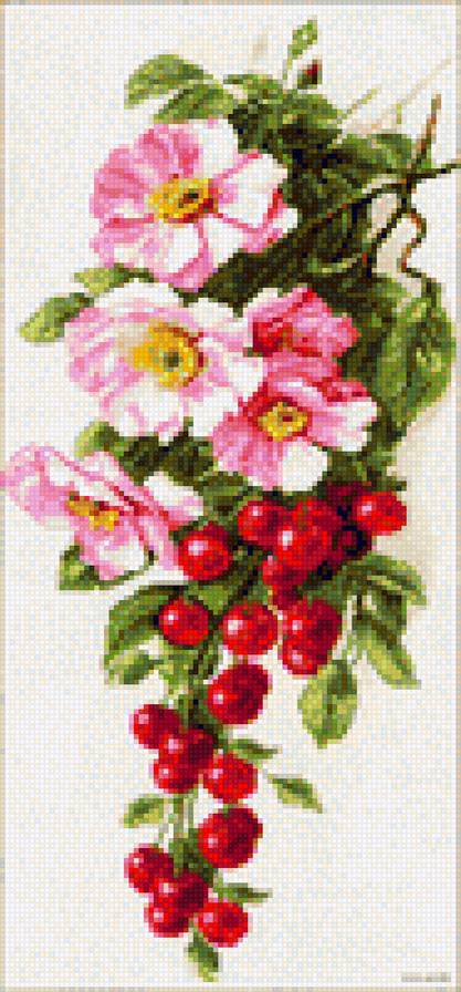 шиповник - цветы - предпросмотр