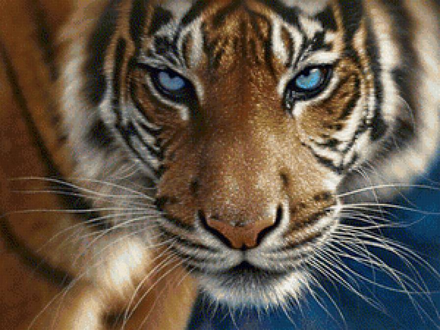 тигр - звери - предпросмотр