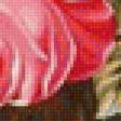 Предпросмотр схемы вышивки «роза нежная» (№1187976)