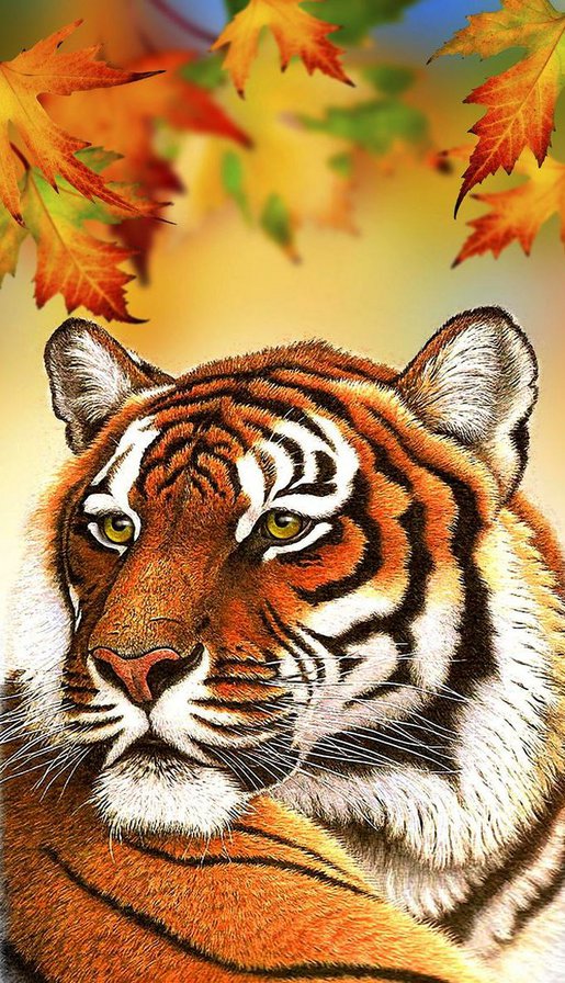 Тигр - животные, дикие кошки - оригинал