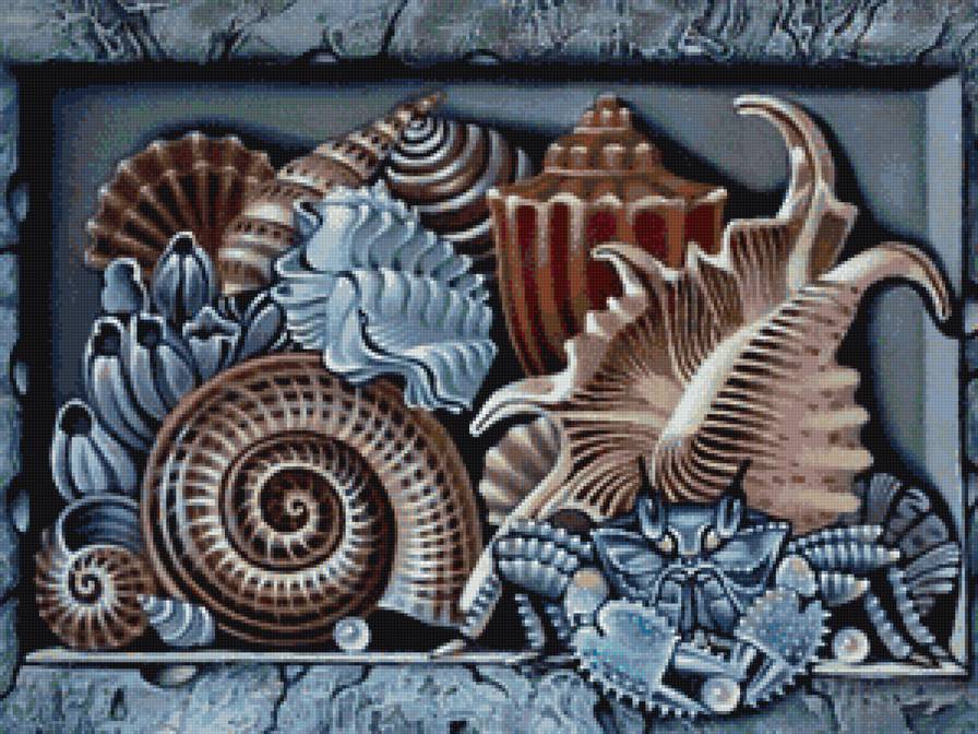 Ракушки - море, ракушки, натюрморт - предпросмотр