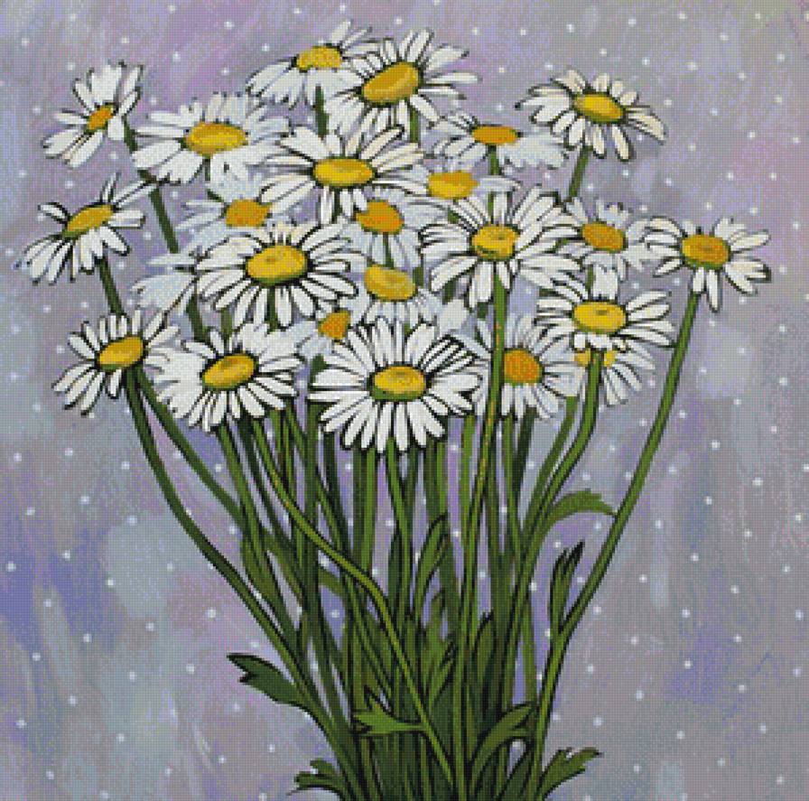 Ромашки - букет, ромашки, натюрморт, цветы - предпросмотр