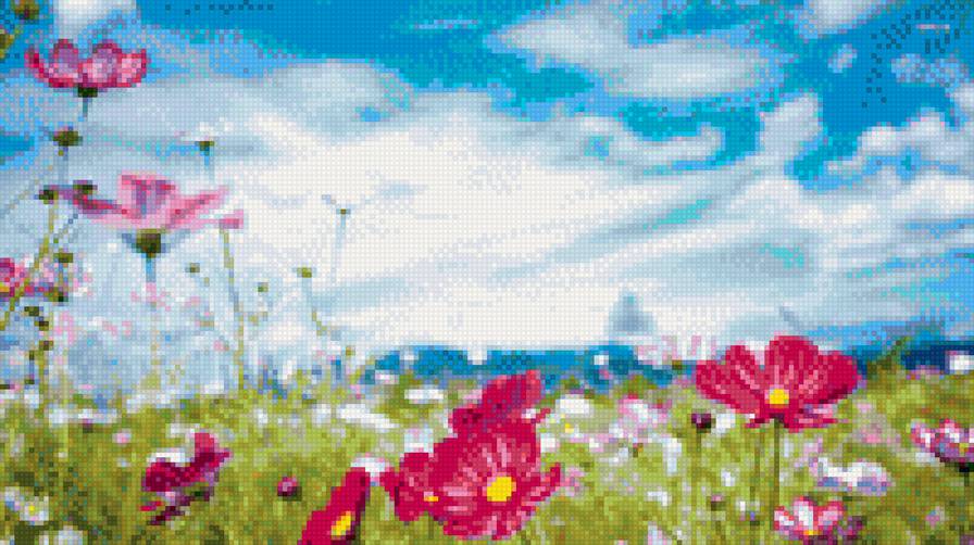 лето - небо, цветы, лето, природа, поле - предпросмотр